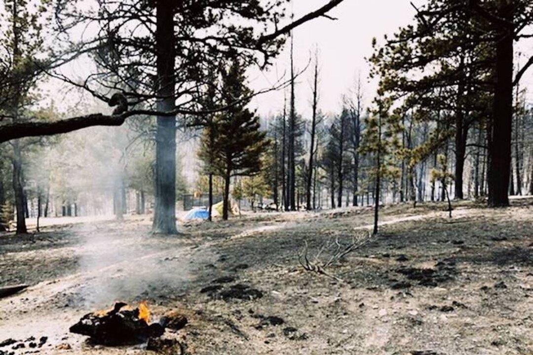 Couple’s proposal is interrupted by devastating wildfire, they put it aside to help others