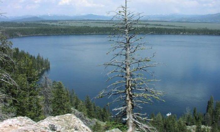 Fissure at Grand Teton ‘Completely Unrelated’ to Yellowstone Supervolcano, Park Official Says