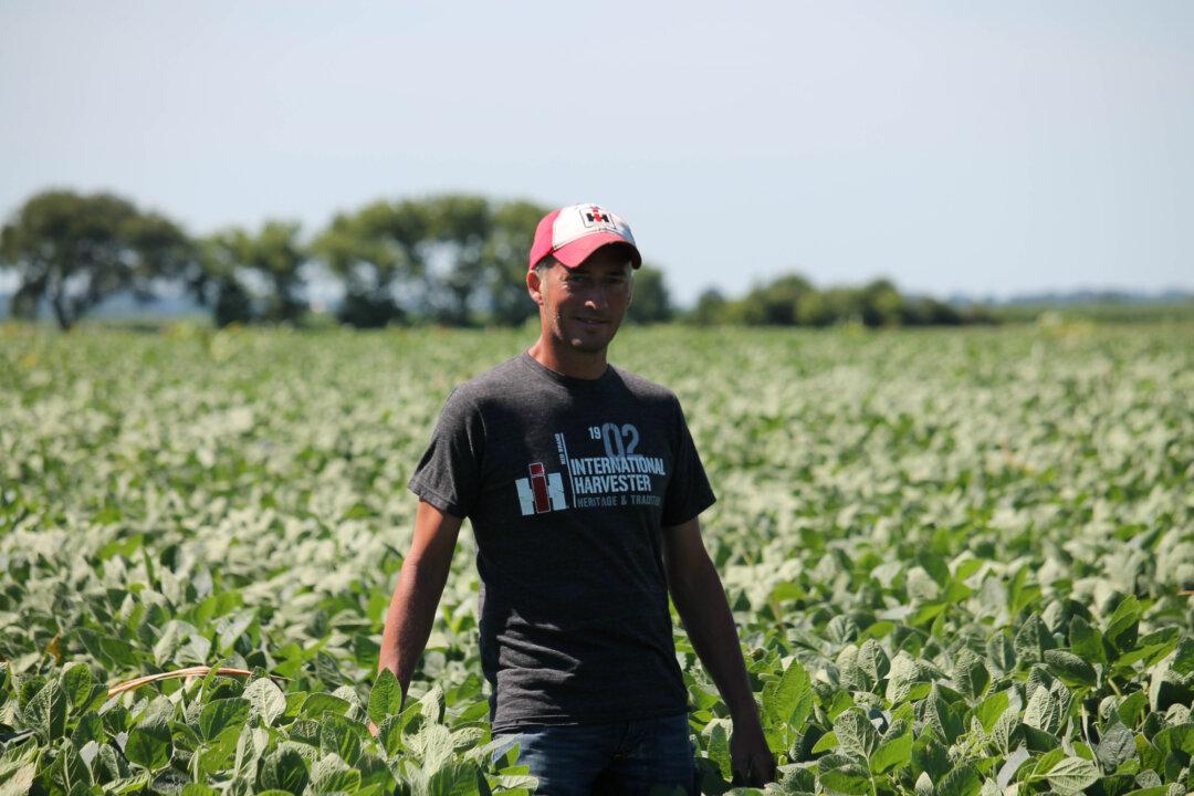 White House to Give $12 Billion in Aid to Farmers Hit by Tariffs