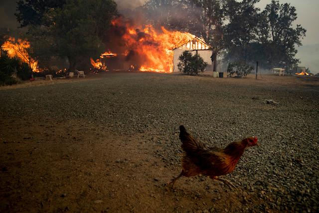 California Governor Pledges Any Resources Needed for Fires