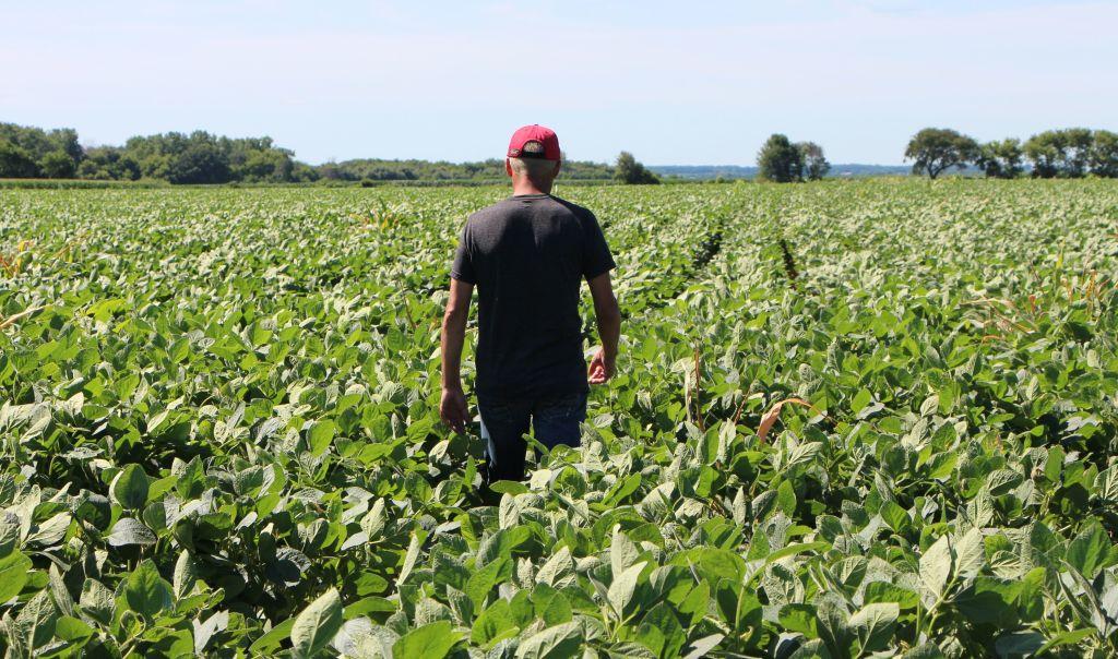 Trade War Turns Out to Be a Boon for Some Companies