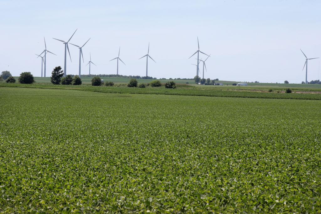 China Still Depends on US Soybeans