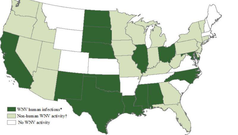CDC: West Nile Virus Detected in 36 States