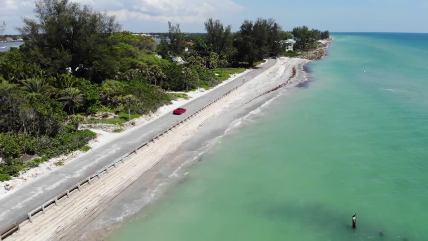 Red Tide: Dead Fish Moving North Along Florida Coastline