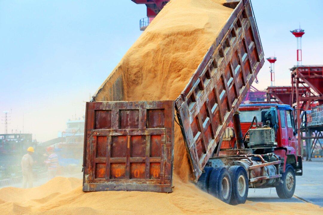 China Soybean Prices Spike as Trade War Worries Feed Supply Fears