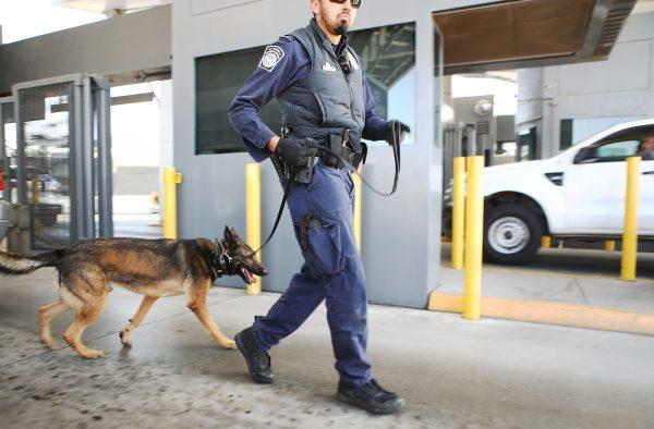 A Customs and Border Protection officer and his K-9 are ready to inspect vehicles entering the United States at the San Ysidro port of entry in California on April 9, 2018. (Mario Tama/Getty Images)
