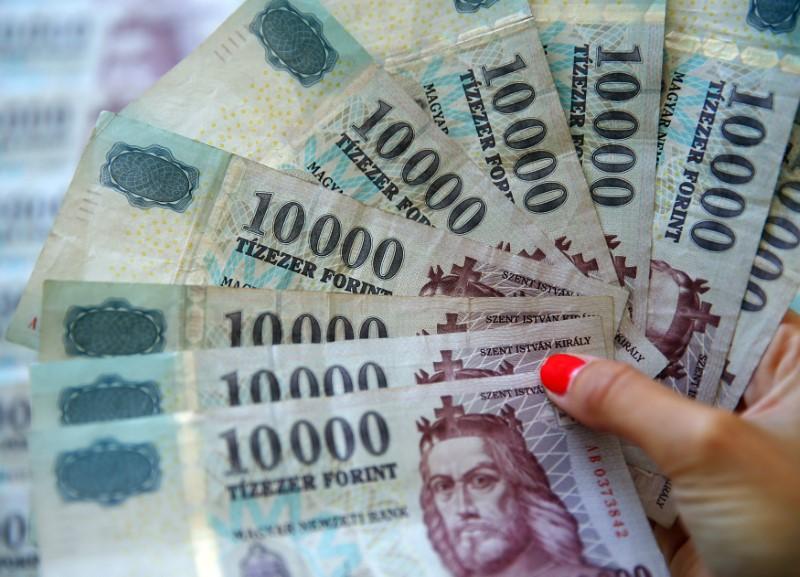 Hungary Seen Holding Rates Despite CPI Rise, Forint Jitters