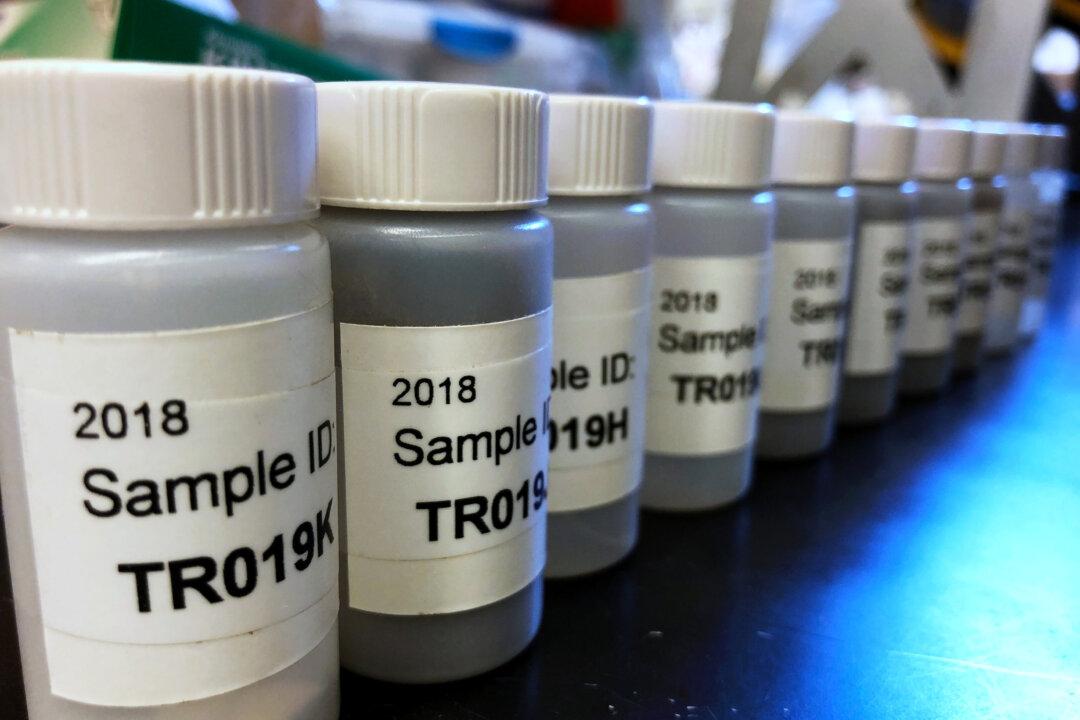 US Senators Seek Review of Lead Contamination in Military Housing