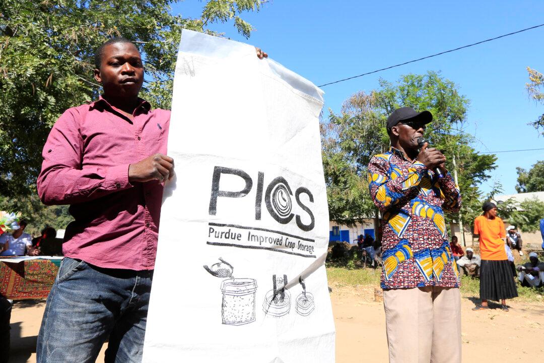 New Sack Technology Goes Long Way in Safeguarding Grain for Tanzanian Farmers