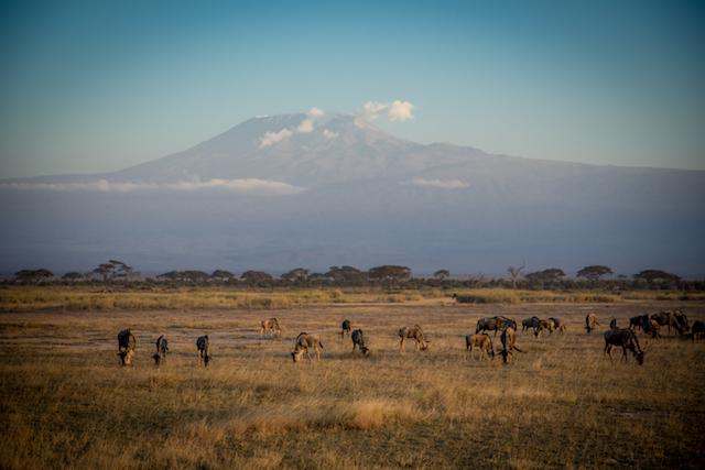 Kilimanjaro: Climbing My Way to Some Peace of Mind