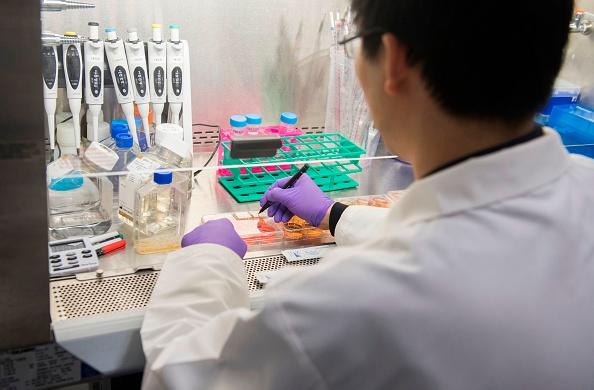 Chinese Academic Espionage Highlighted in Debate Over NIH Letter