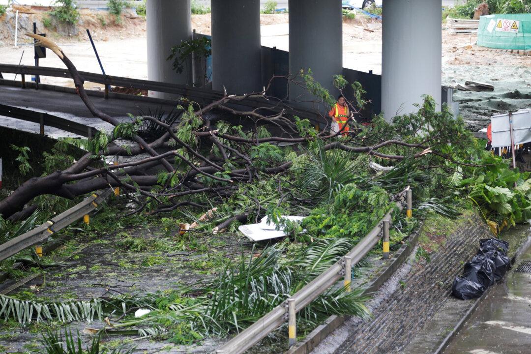 Hong Kong, Southern China Clean Up After Destruction by Super Typhoon Mangkhut