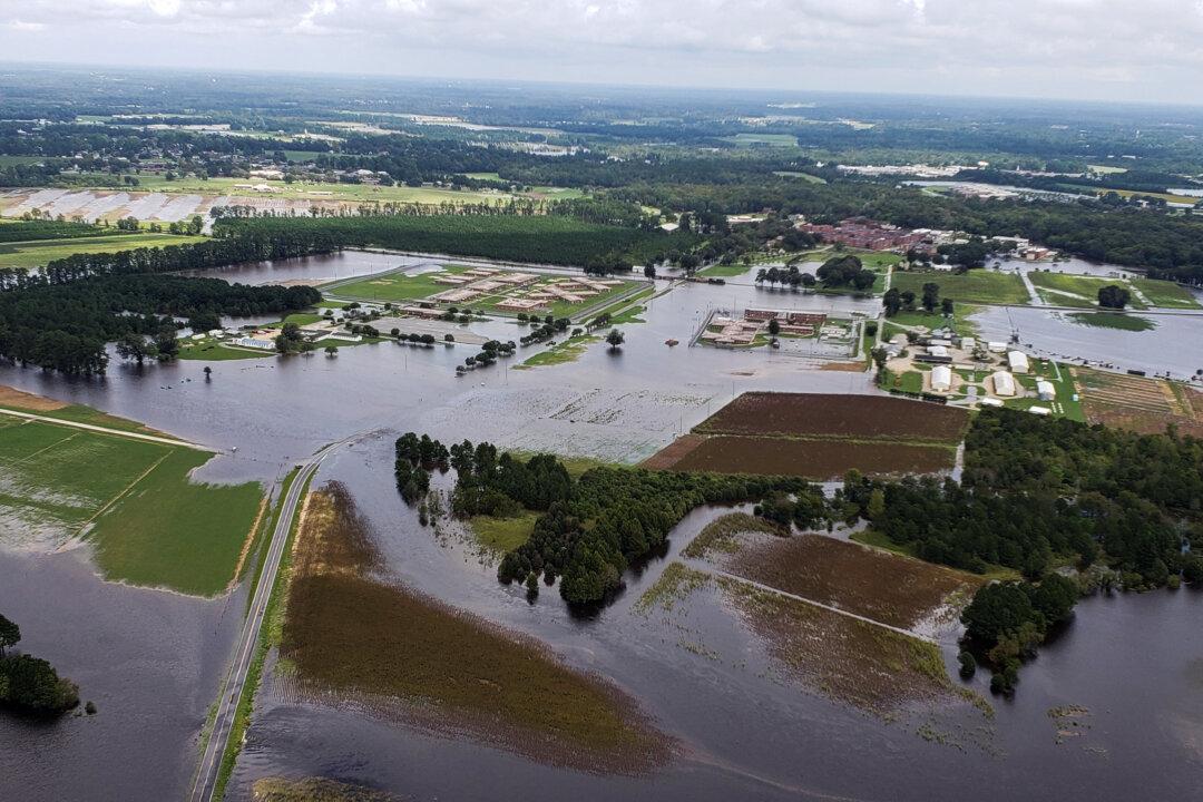 North Carolina Farmers Learned Nothing From Previous Hurricanes As Over 4 Million Animals Drown