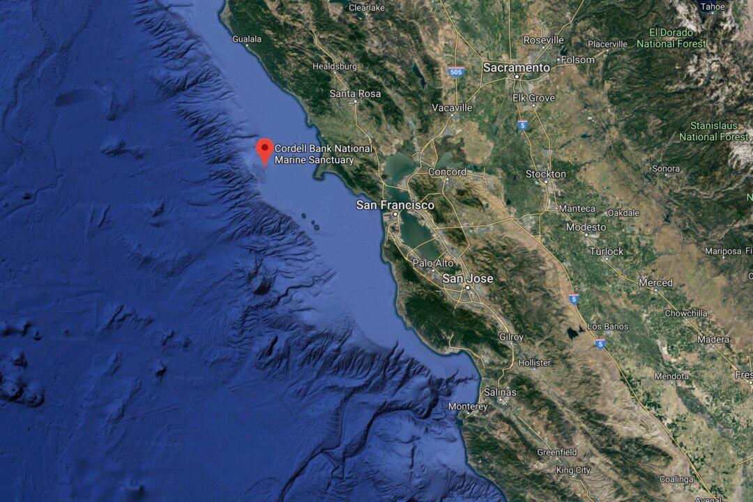 Noaa Studies Unexplored Seafloor Habitats Off Monterey Bay