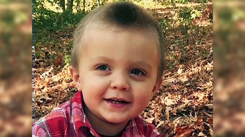 Rabid Raccoon Attacks Georgia Toddler, Mother Shoots It