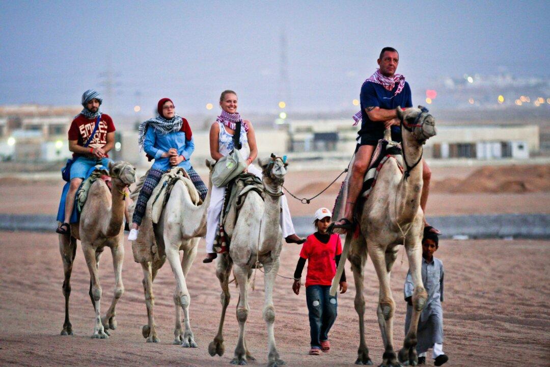 British Woman Locked Up for Bringing Painkillers Into Egypt Loses Appeal