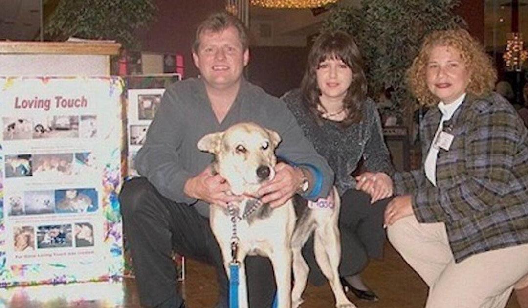 Frail Dog Swam for Miles to Reunite With Rescuers