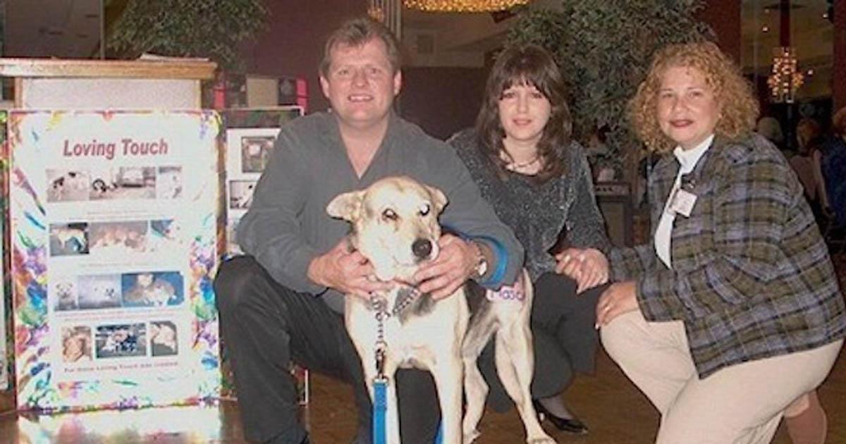 Frail Dog Swam for Miles to Reunite With Rescuers
