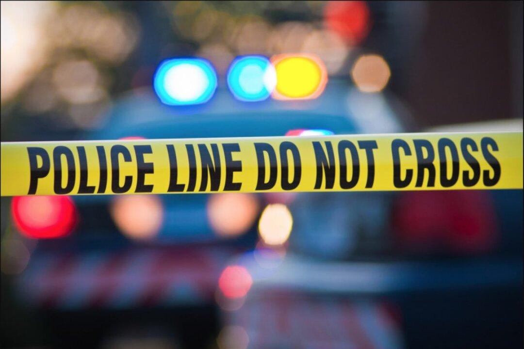65-Year-Old Woman Sees Off 300-Pound Attacker With Well-Practiced Swing