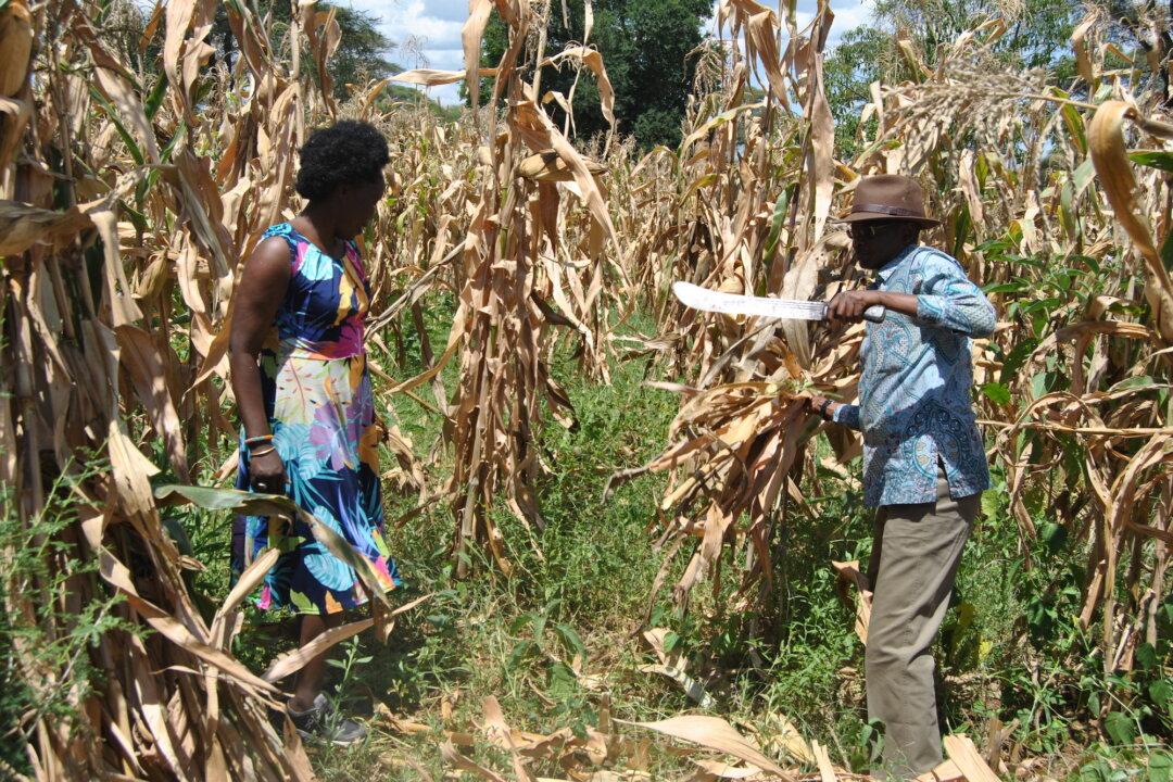 Former Star Marathoner Helps Resolve Deadly Tribal Conflicts in Kenya