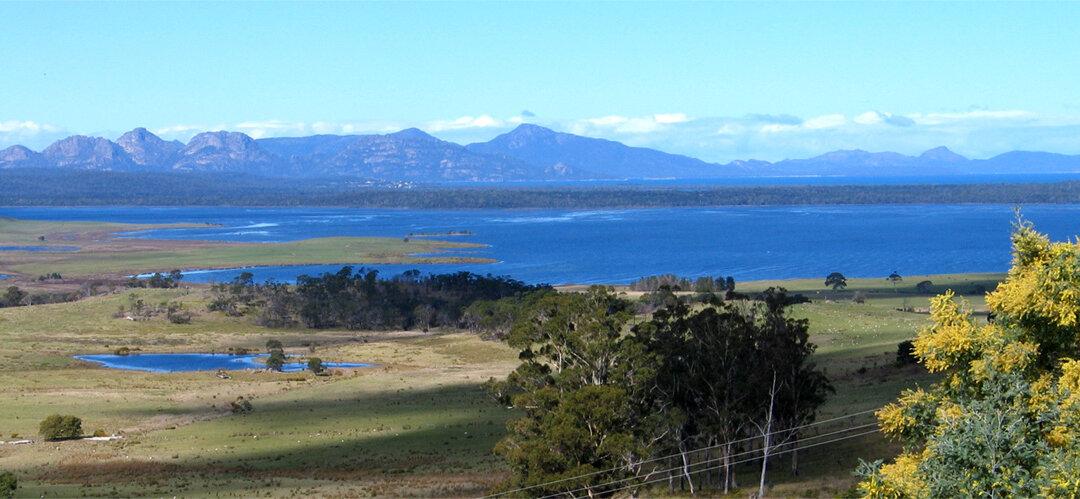 Tasmanian Buddhist and Community Leader Denies Links to Chinese Regime