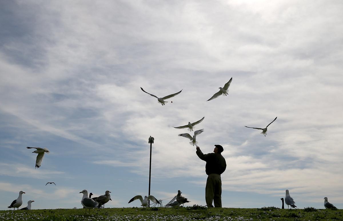Waterfowl Hunting Available at Ecological Reserve in Next 3 Months
