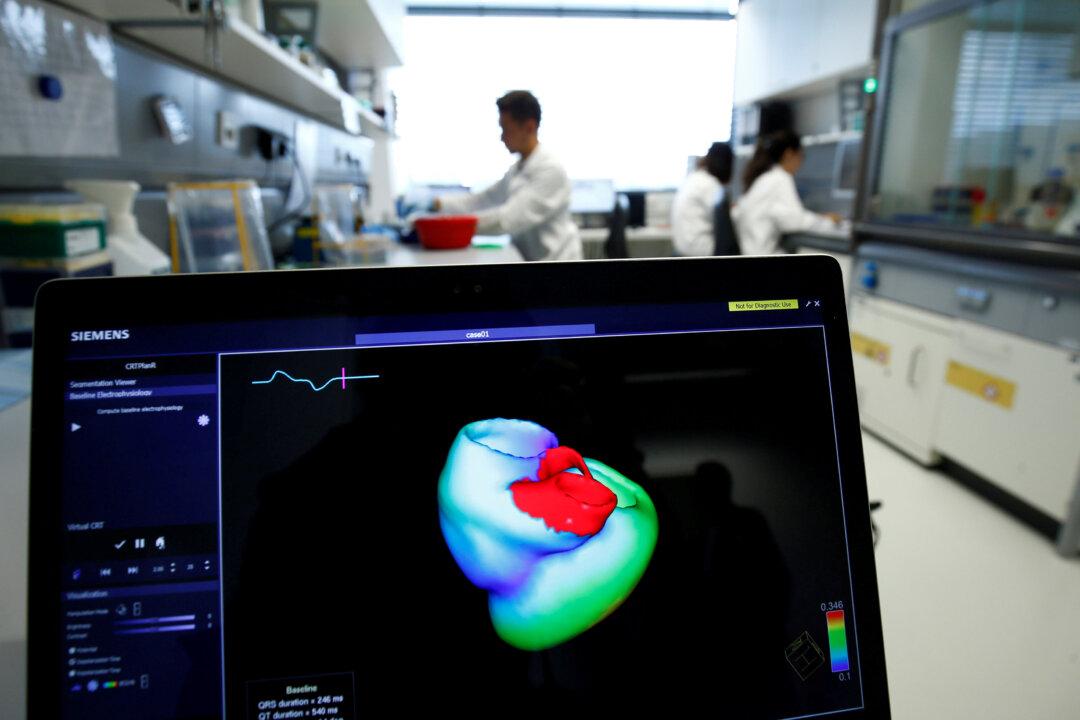 Medical Experts Call for Monitoring to Reduce Rheumatic Heart Disease, Fever