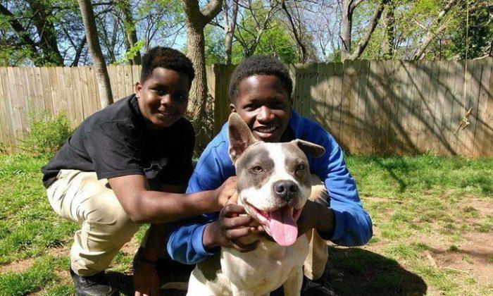 Woman Pairs Kids and Rescue Dogs to Better Community