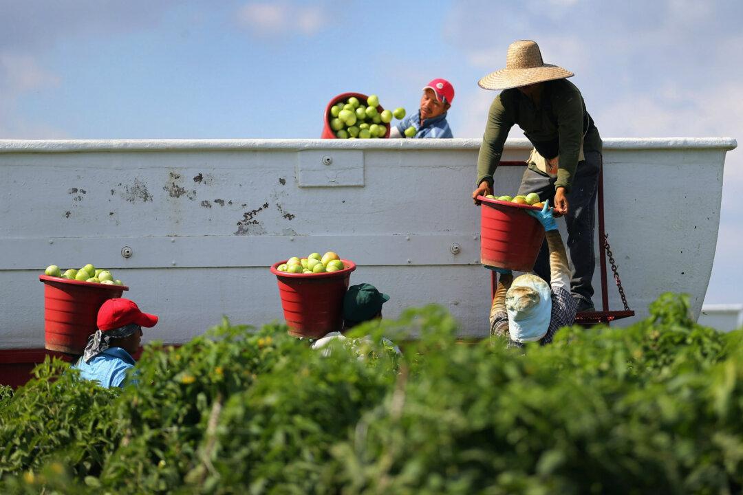 Practicing Social Justice in Florida