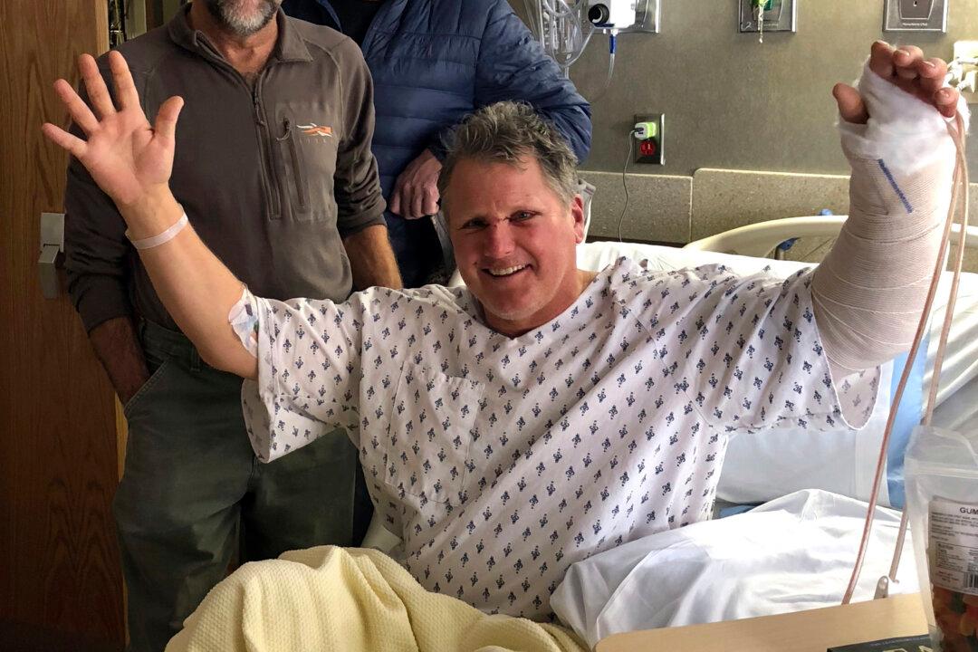 Grizzly Bear Attacks Hunter in Mountains North of Yellowstone