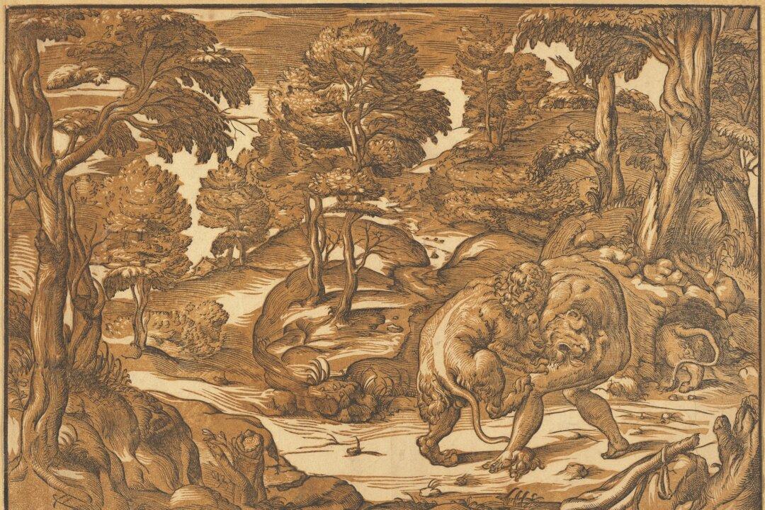 The Elusive Woodcut of Renaissance Italy: The Chiaroscuro