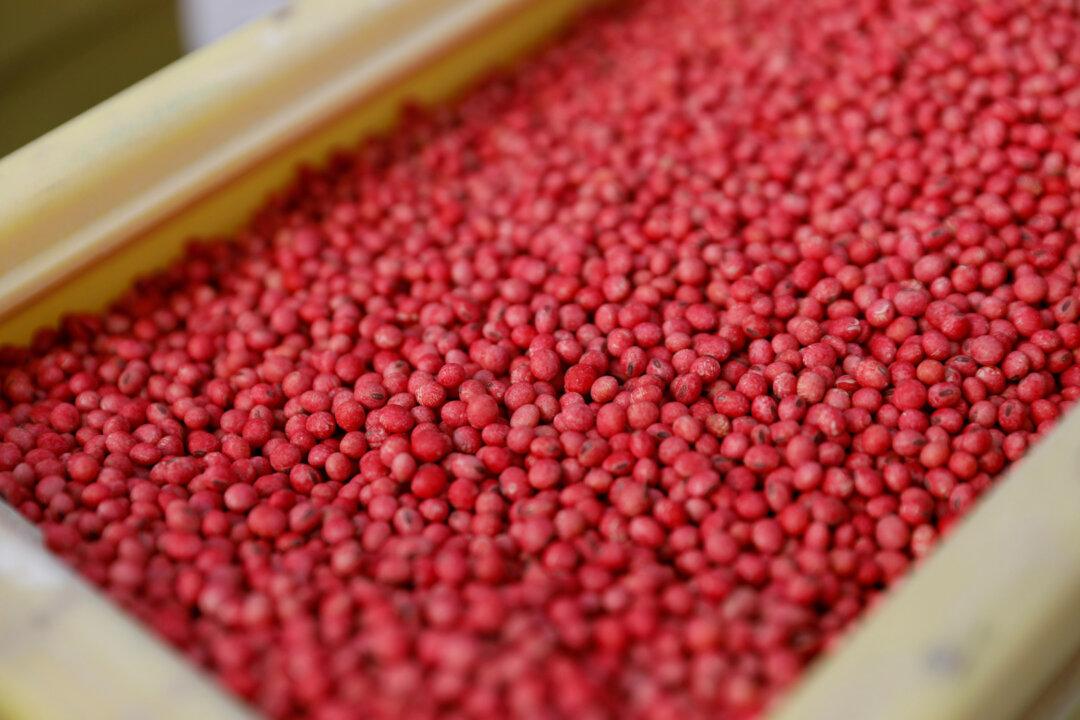China Soybean Imports Set for Biggest Drop in 12 Years Amid Tariff Conflict