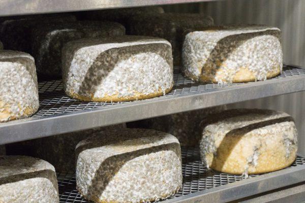 Gray-white mold naturally develops on the wheels as they age; workers regularly brush them to keep it in check. (Crystal Shi/The Epoch Times)