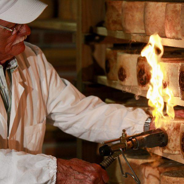 Badge of honor: The PDO label is stamped onto the rinds of wheels of young Pecorino Toscano, and branded hot onto those of the aged ones. (Courtesy of the Consortium for Pecorino Toscano PDO)