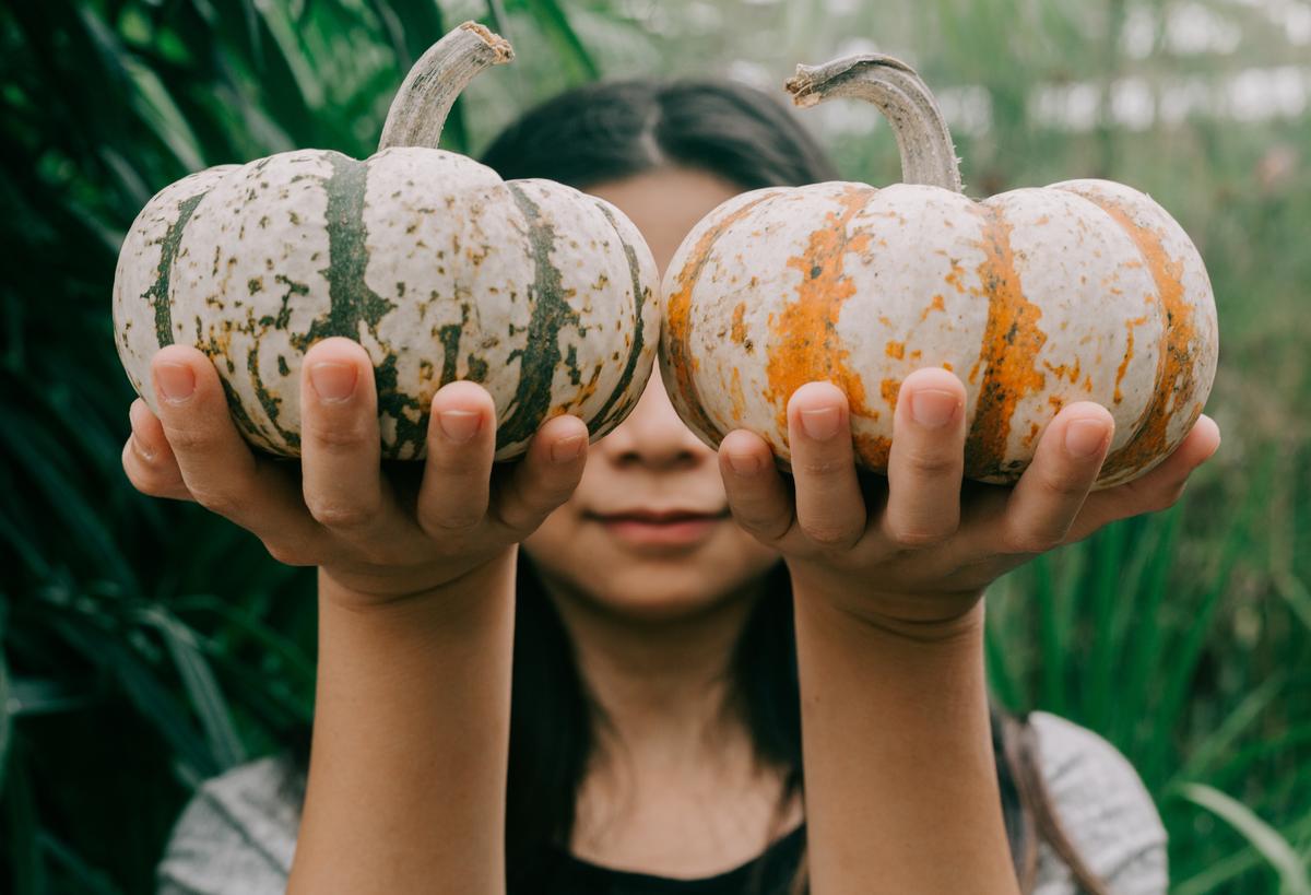 Autumn’s Pumpkins Pack a Nutritional Punch