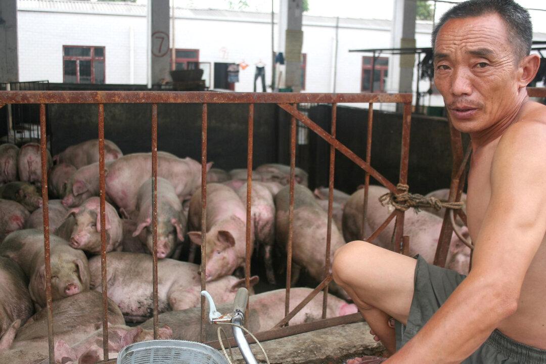 African Swine Fever Spreading to Southern China