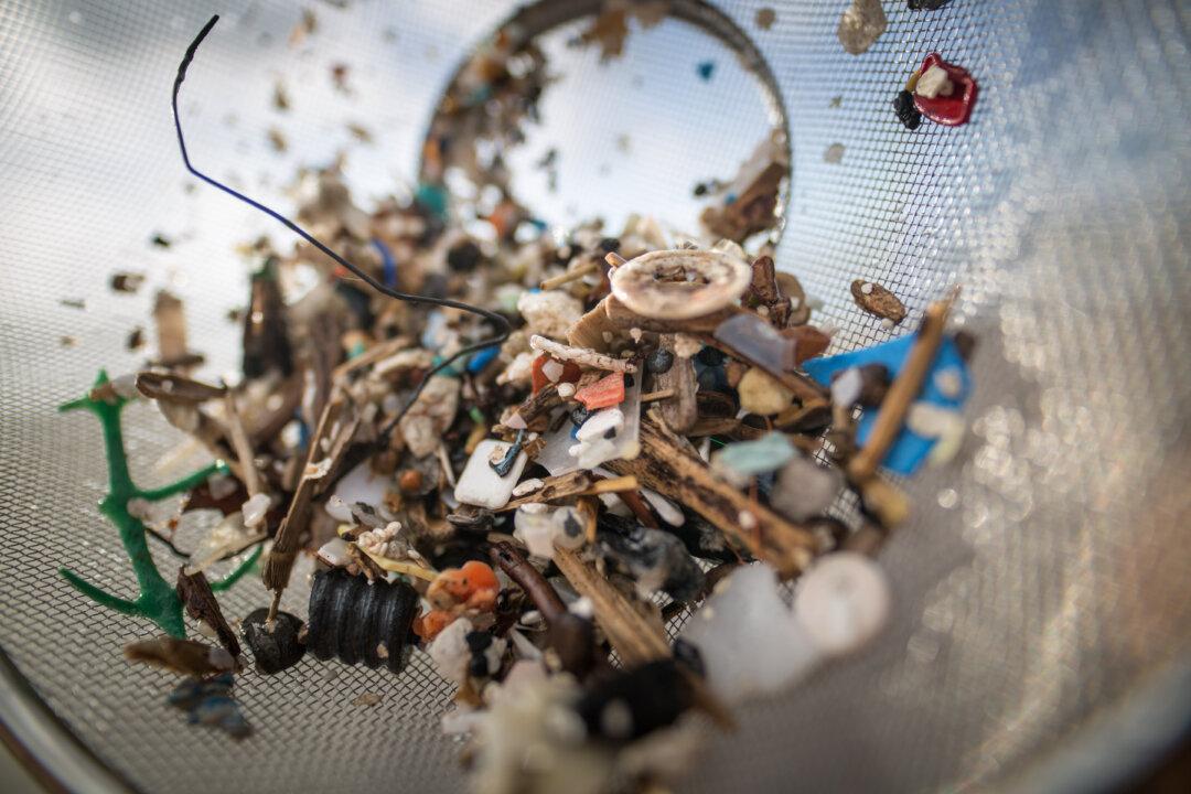 Microplastics Found in Human Feces for the First Time