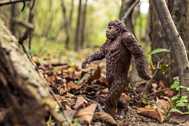 Man Fires Shots at Campers in Kentucky National Park, Claiming He Saw Bigfoot
