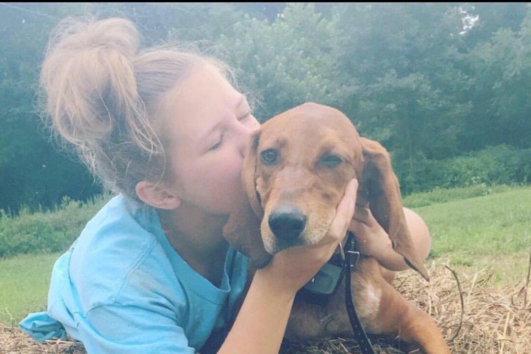 Virginia Child Killed Chasing Her Dog Will Be Buried Together With Pet
