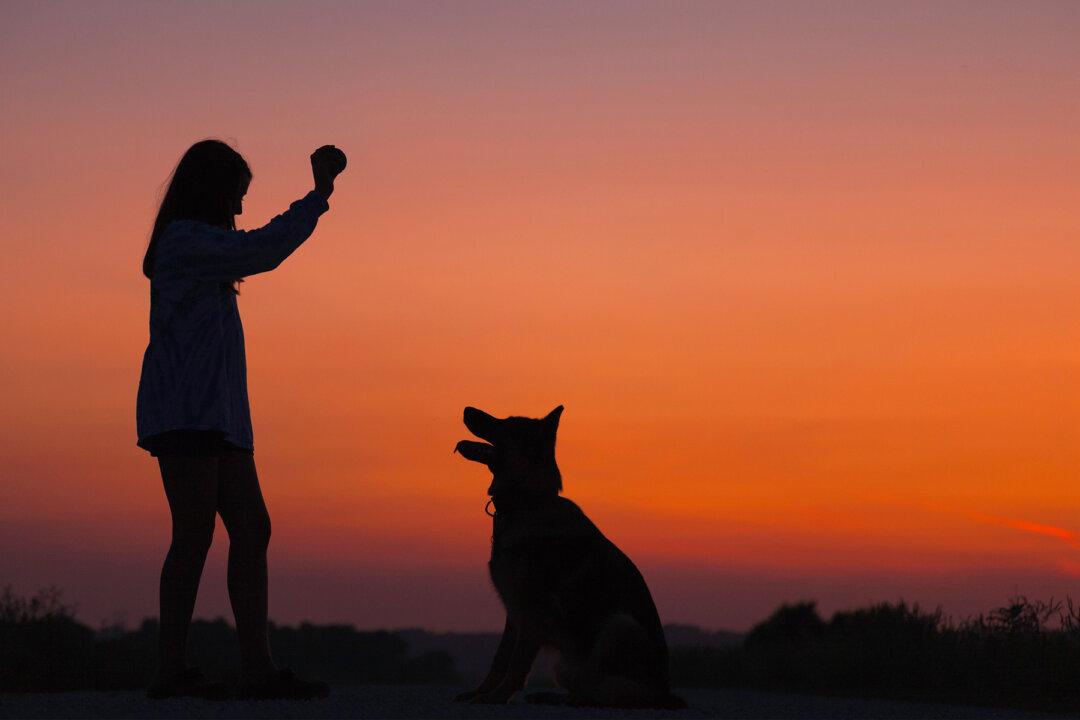 Train Your Mind Using the Puppy Method