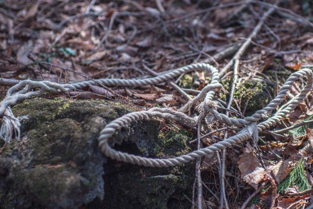 Japan’s Youth Suicides Hit 30-year High: Survey