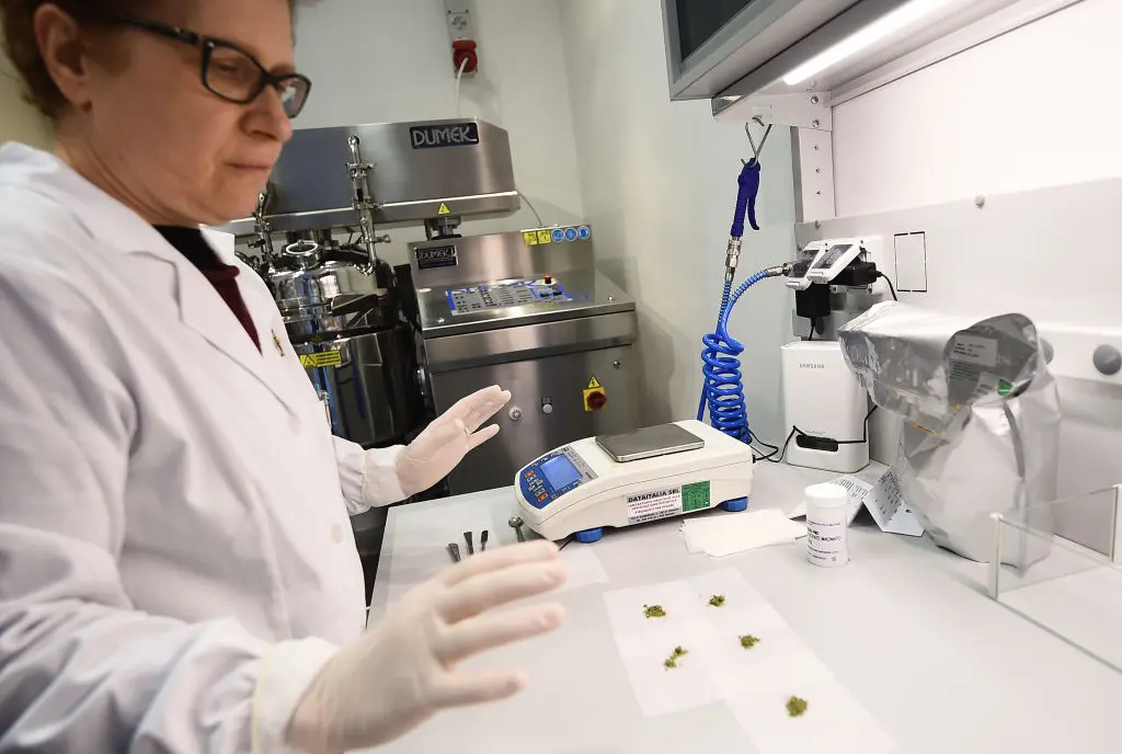 No Evidence Medical Cannabis Alleviates Anxiety, Depression, or PTSD: Study