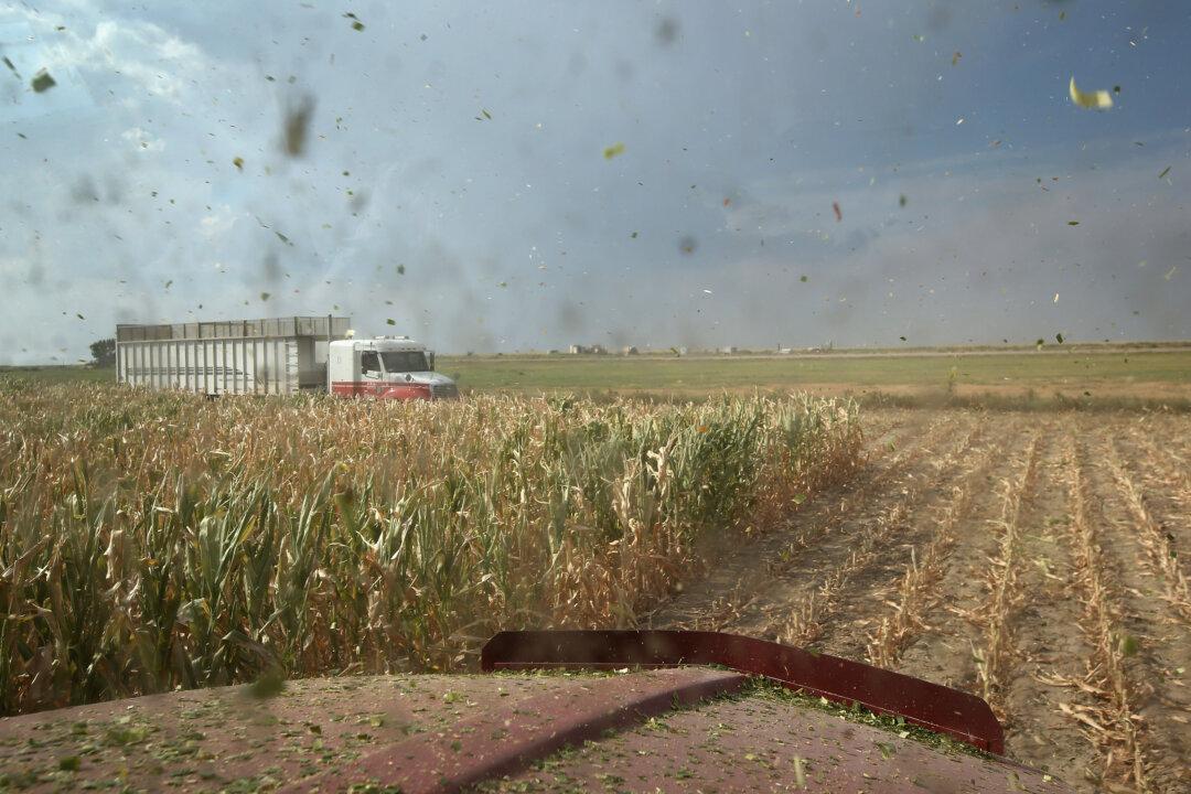 Agribusiness Giant ADM Made Buyout Approach to Argentina’s Molinos – Sources