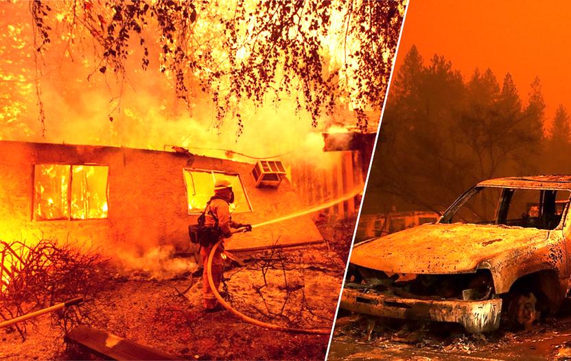 Dog That Survived California Fire Found Waiting at Home a Month Later