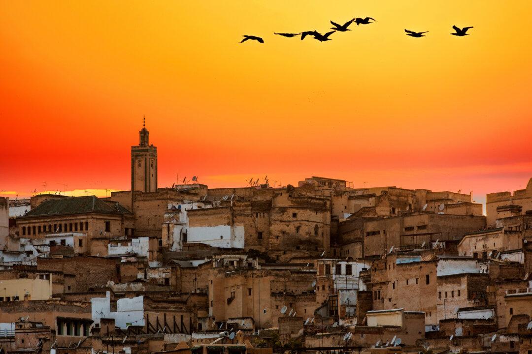 Exploring the Old Medina in Fez, Morocco