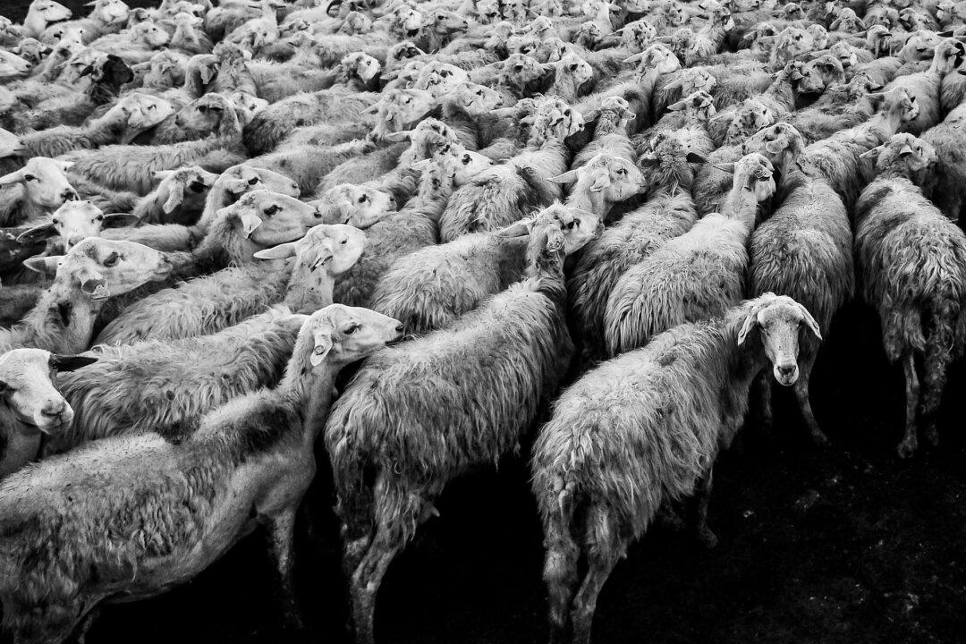 Collectivism, Individualism, and Left–Right Politics