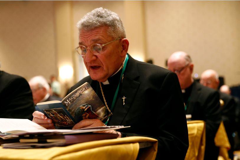 US Bishops Weigh Anti-Abuse Strategy After Delay Set by Vatican