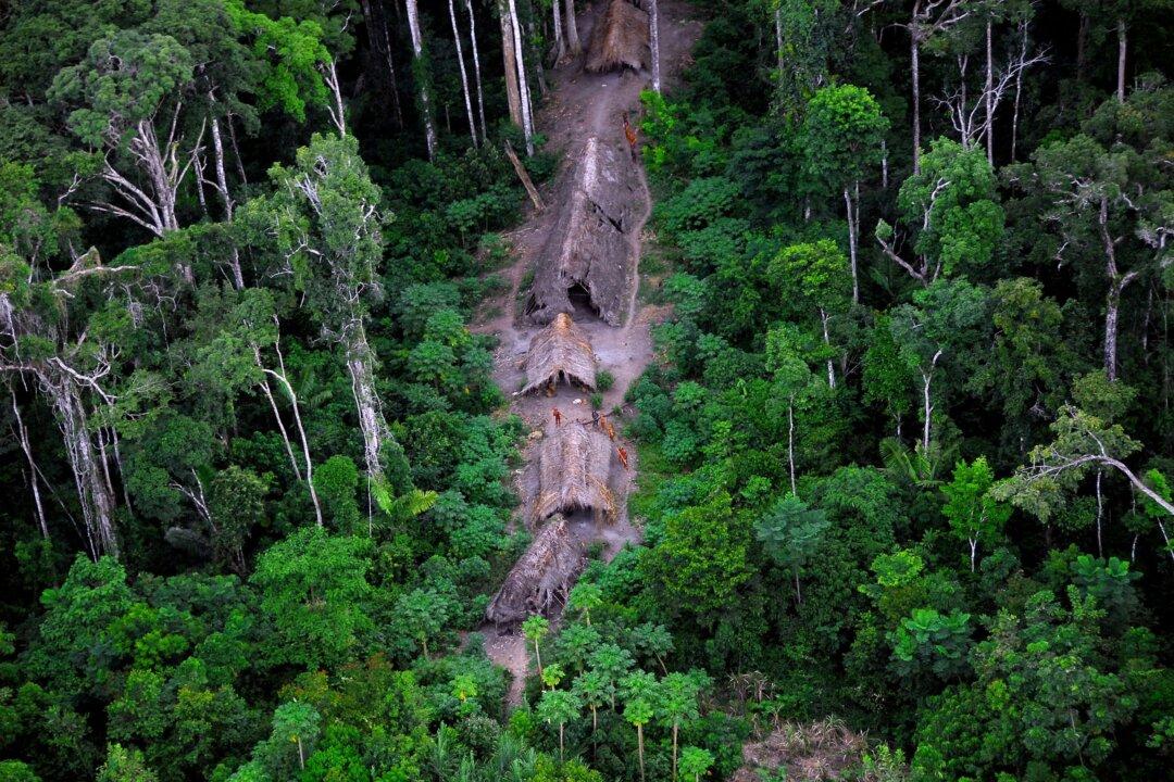 Isolated Tribes Under Threat by Illegal Logging in Brazil