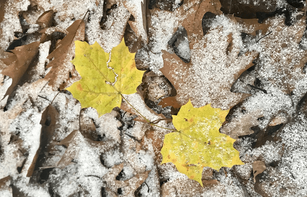 A Berkshire Journal: Segue to Winter