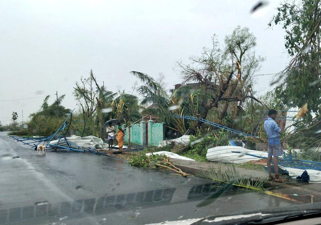 Cyclone ‘Gaja’ Makes Landfall in South India, Kills 33 People